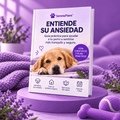 Ebook - Entiende su Ansiedad